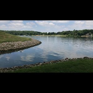 Meet your Posher, Avery